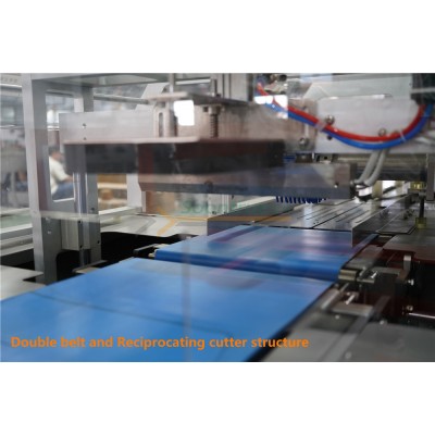 Frozen product /Wet tissus/Fruit and vegetable reciprocating cutter base flow type packing machine' />