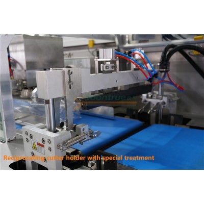 Fruit and vegetable big sachet flow type packing machine' />