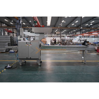 SZ-580 Rotary Cutter UP Film Structure Flow Packing Machine' />